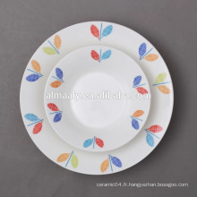 assiette en porcelaine blanche en vrac, plaque latérale